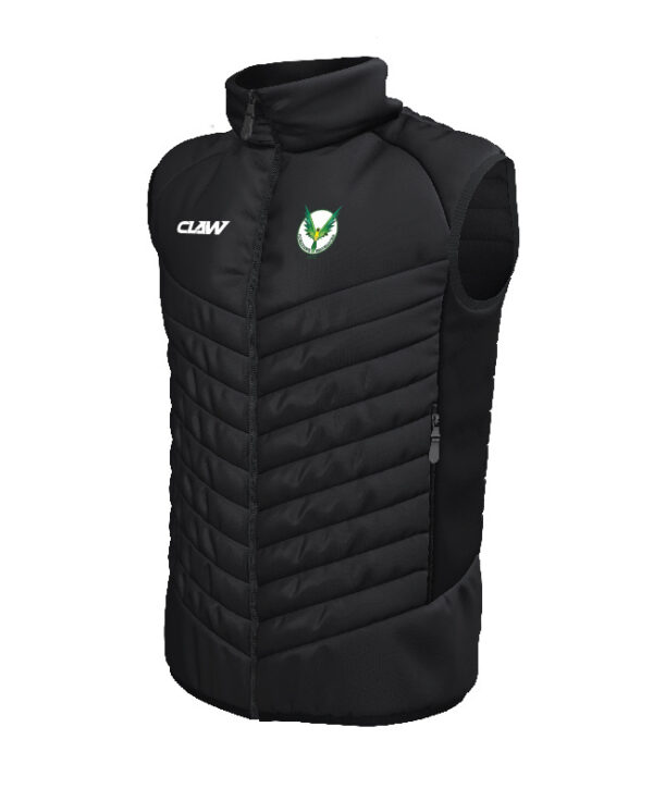 Abertawe_Mavericks_AFC_GILET.jpg