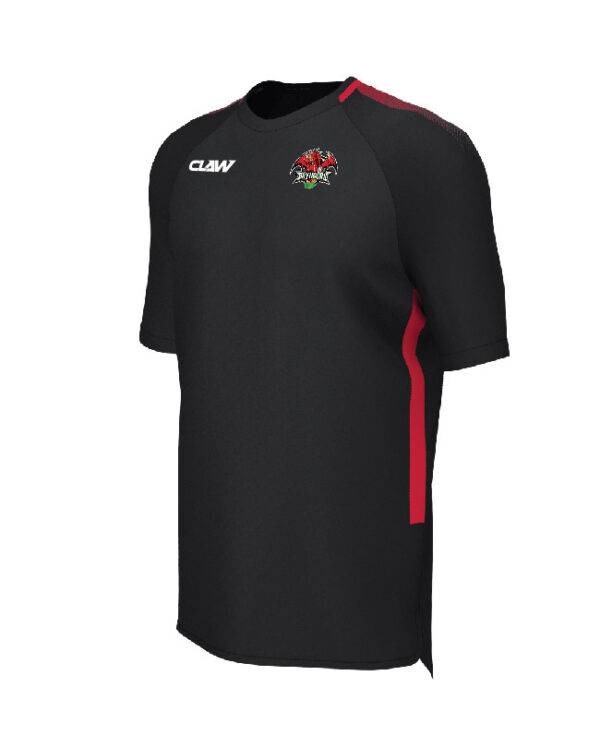 Bryngors20RFC_TEE20BR.jpg