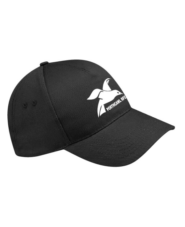 CAP2x-100.jpg