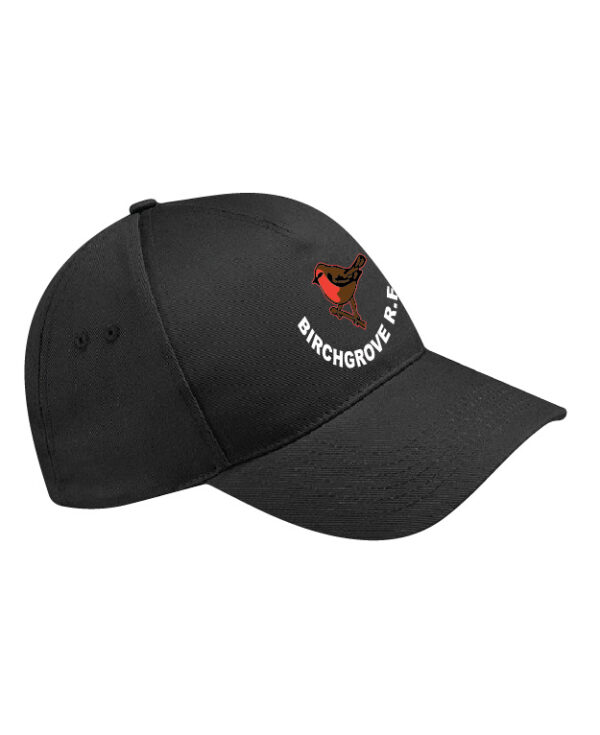 CAP@2x-100.jpg