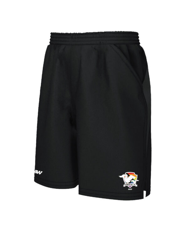 Cardiff_62s_FC_671_Travel_Shorts-1.jpg