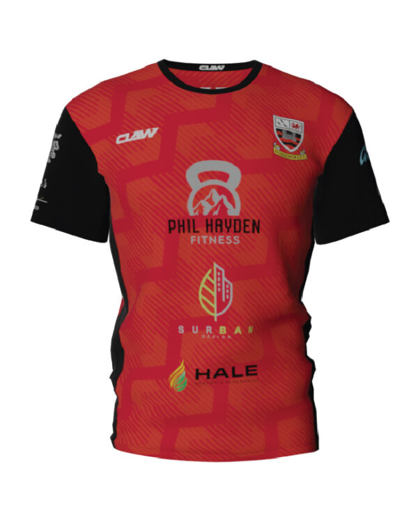 Gorseinon20AFC_Sponsor20TEE20F.jpg