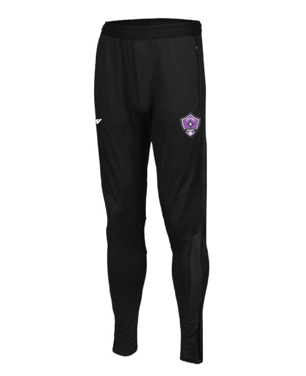 Gower20Galaxy_PANTS20B.jpg