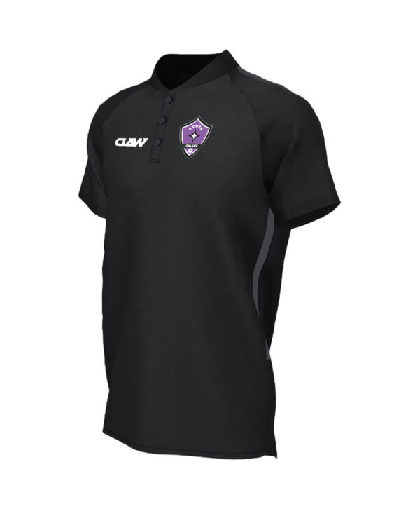 Gower20Galaxy_POLO20B.jpg