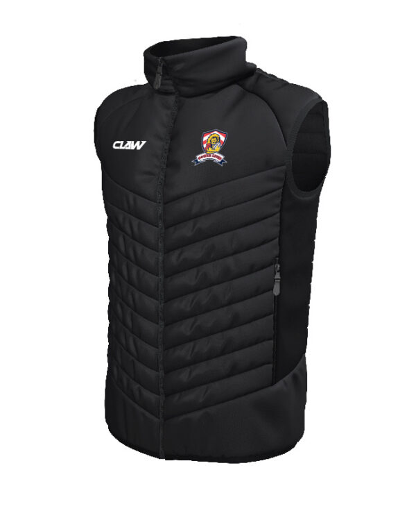 Gower_Lions_GILET.jpg