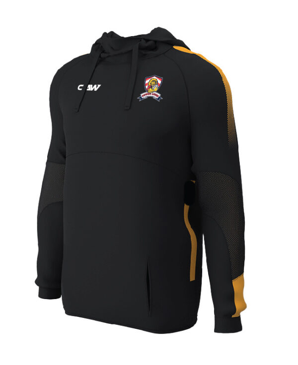 Gower_Lions_HOODIE_B_Amber.jpg