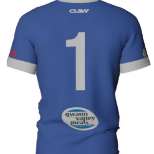 Letterson FC GK Shirt (Blue) - Image 2