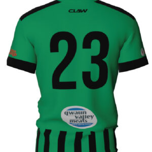 Letterson FC Playing Shirt (Green) - Image 2