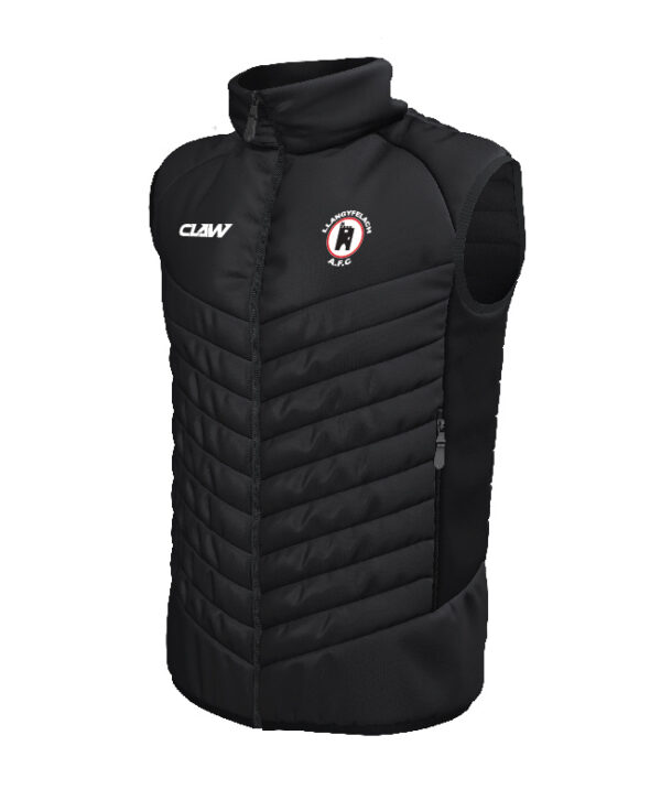 Llangyfelach20AFC_GILET.jpg