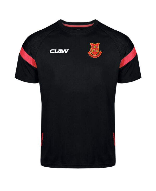 Llantwit20Major20RFC_946.jpg
