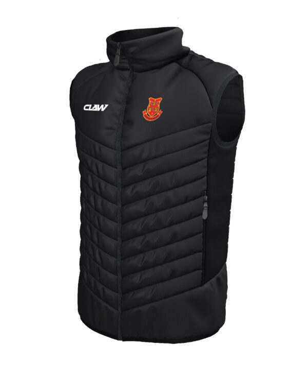 Llantwit_Major_RFC_GILET.jpg