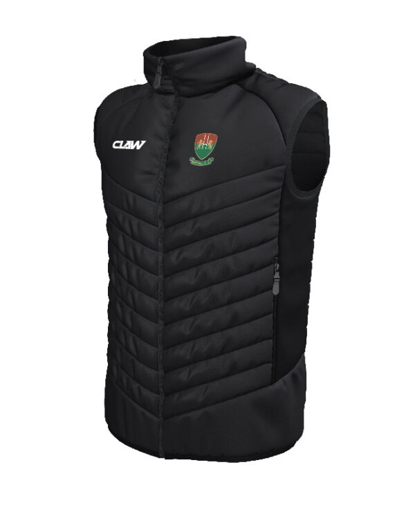 Nantymoel20RFC_GILET.jpg