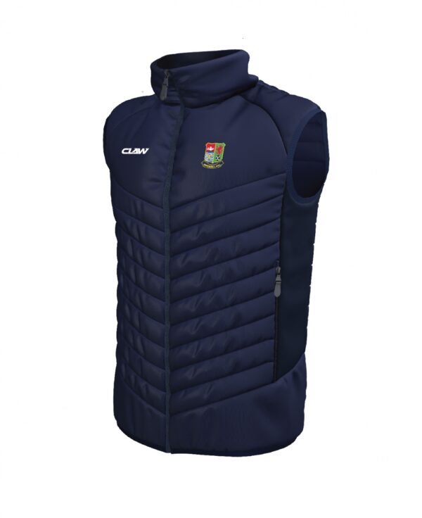 Pembrey20AFC_CLAW20-20Edge20Gillet.jpg