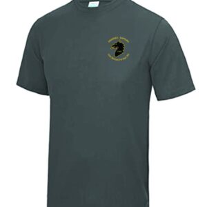 Swansea Sappers Cool Tee - Image 2