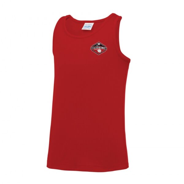 Standard20Vest.jpg