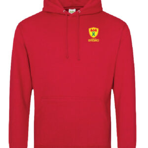 Wales Transplant Football College Hoodie - Image 2