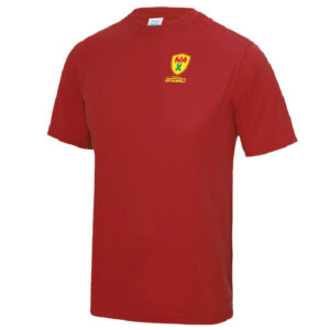 Wales Transplant Football Kids Cool Tee - Image 2