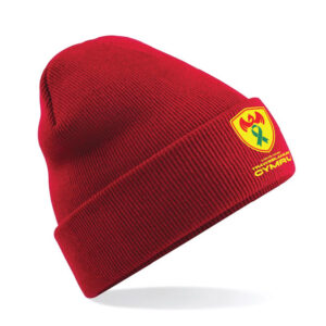 Wales Transplant Football Original Cuffed Beanie - Image 2
