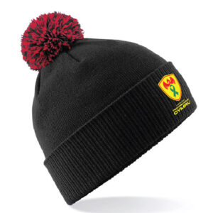 Wales Transplant Football Bobble Hat - Image 2