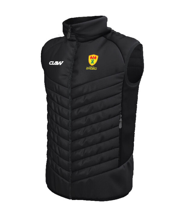 Transplant_Wales_GILET.jpg