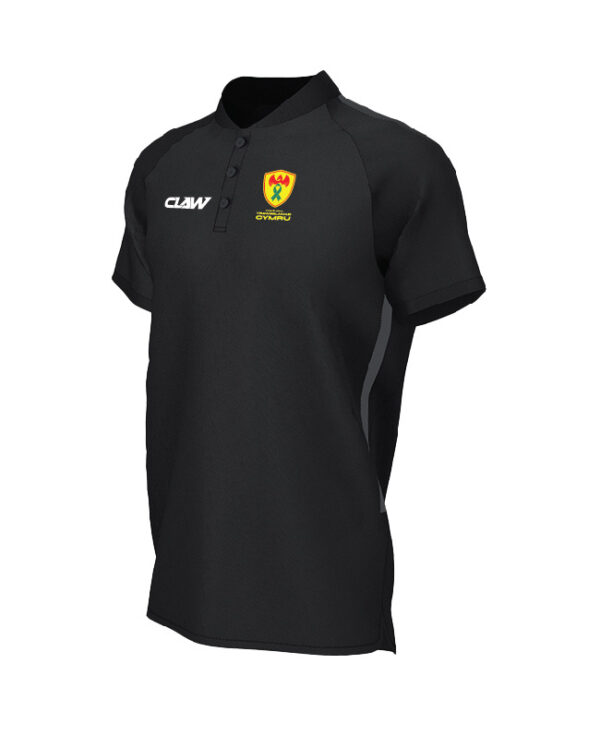 Transplant_Wales_POLO_B.jpg