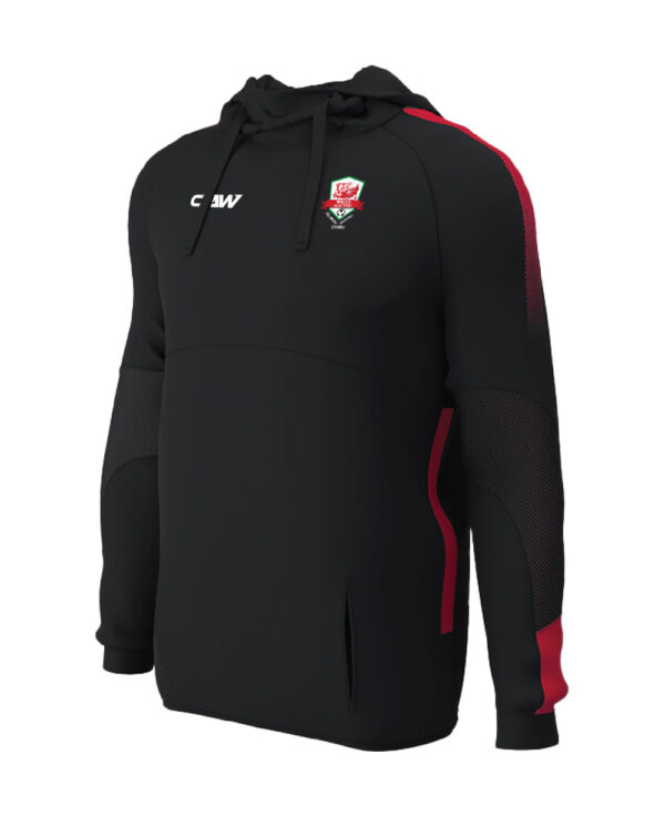 Wales20Walking20Football_HOODIE20BR.jpg