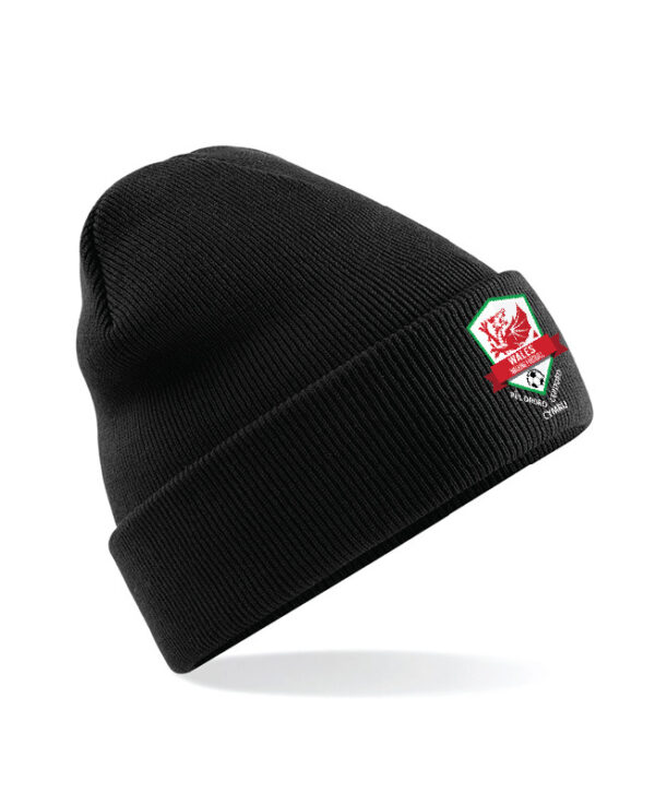 Wales_Walking_Football-13_-_Copy.jpg