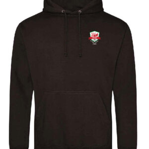 Wales Walking Football Kids Hoodie - Image 2