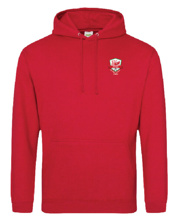 Wales_Walking_Football_AWDis_HOODIE_copy.jpg