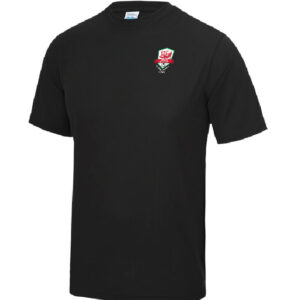 Wales Walking Football Kids Cool Tee - Image 2