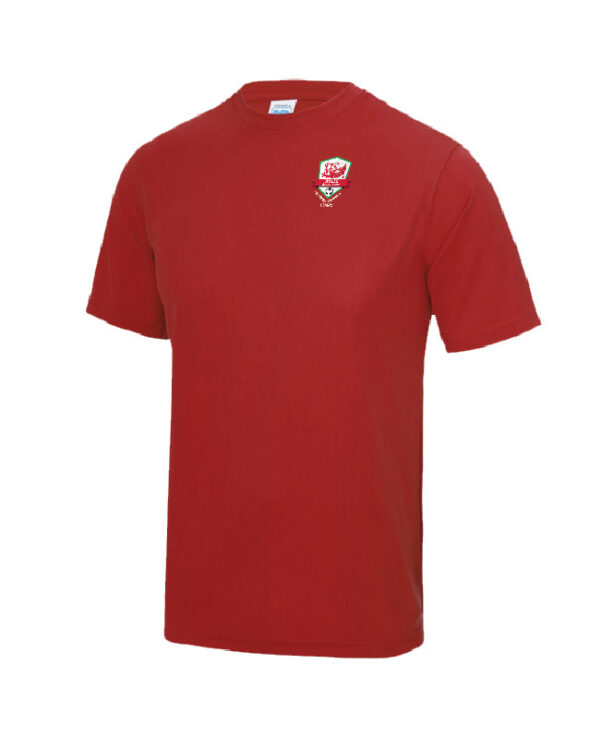 Wales_Walking_Football_AWDis_TEE_copy-1.jpg