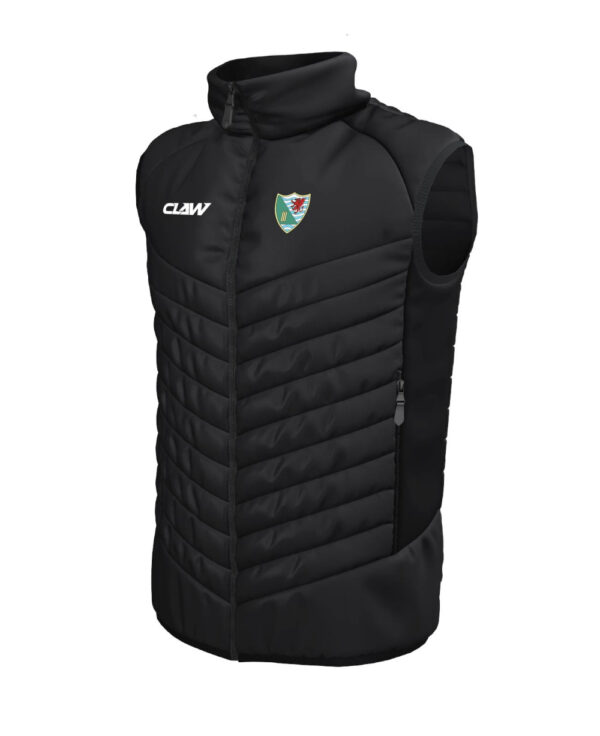 Ynystawe20CC_GILET.jpg