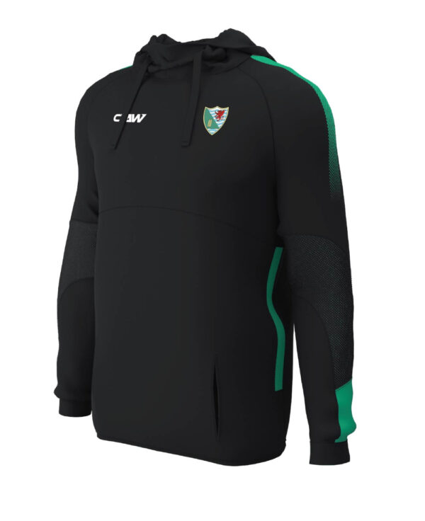 Ynystawe20CC_HOODIE20BR.jpg