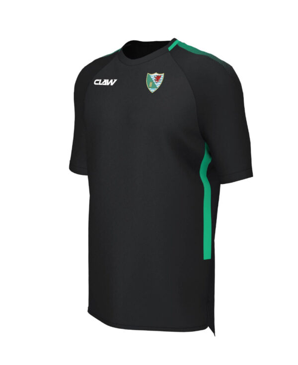 Ynystawe20CC_TEE20BR.jpg