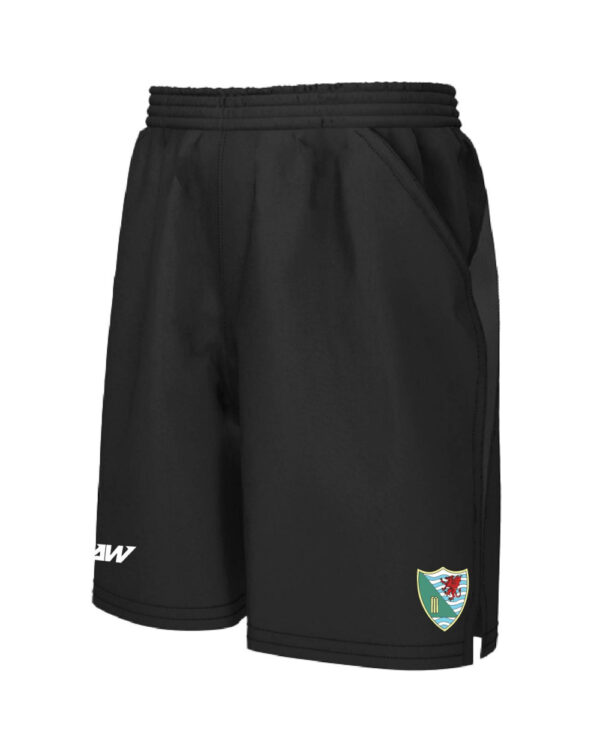 Ynystawe_CC_SHORTS_B-1.jpg