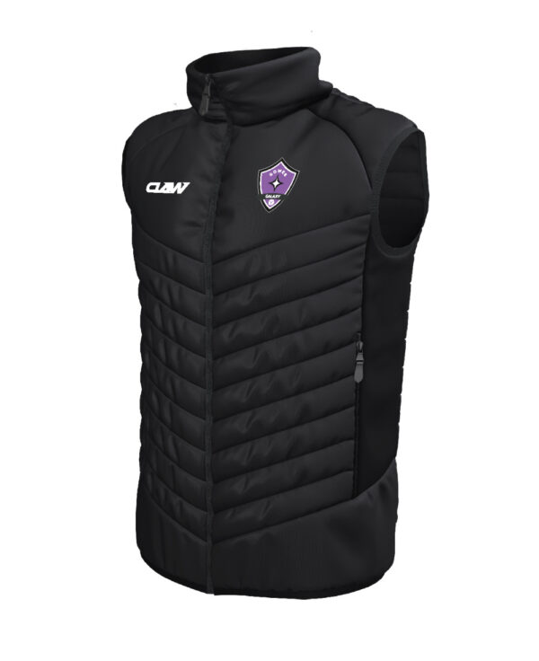 Gower_Galaxy_GILET.jpg
