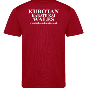 Kubotan Karate Kids Cool Tee - Image 6
